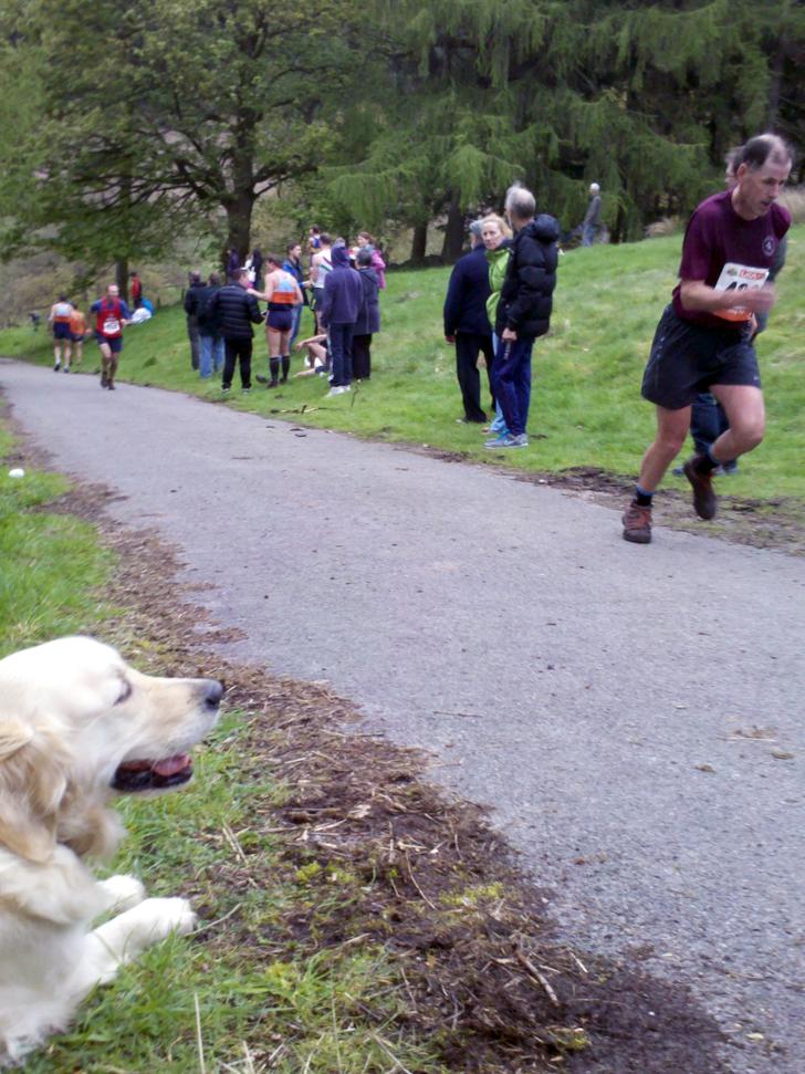 Shining Tor 2012 - John Mooney_728x971.jpg